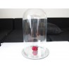 Verre sous cloche